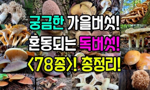 泡中药用什么样米酒最好-泡中药用什么样米酒比较好、中药泡洗操作流程 -泡中药用什么样米酒网