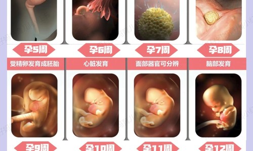 泡中药用什么样米酒比较好、中药泡洗操作流程 -泡中药用什么样米酒网